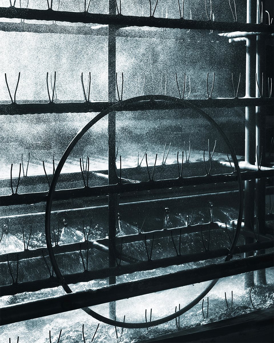 Desalto_Company2421000