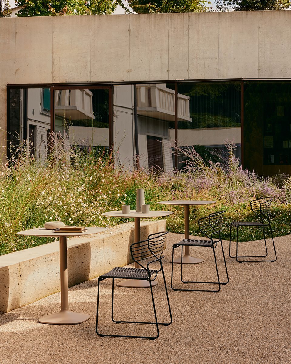 Desalto_Web_02TA_Ellis_02