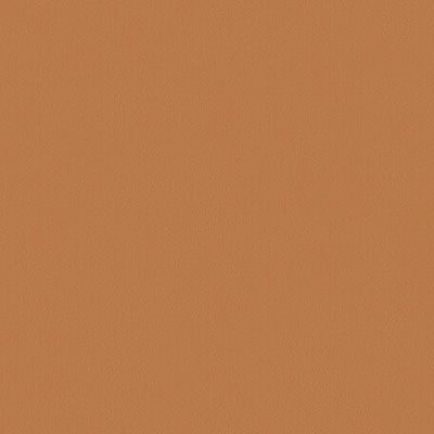 Ecopelle-R64---407