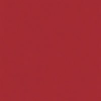 Ecopelle-R65---304