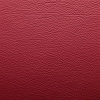 M55_ROSSO_Pelle_0201_G8179