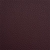 Pelle-M31---5460