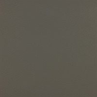 Pelle-Nuvola-M63---112