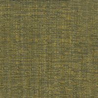 ZOOM_BJ_H70_GIALLOPAGLIERINO_G4409